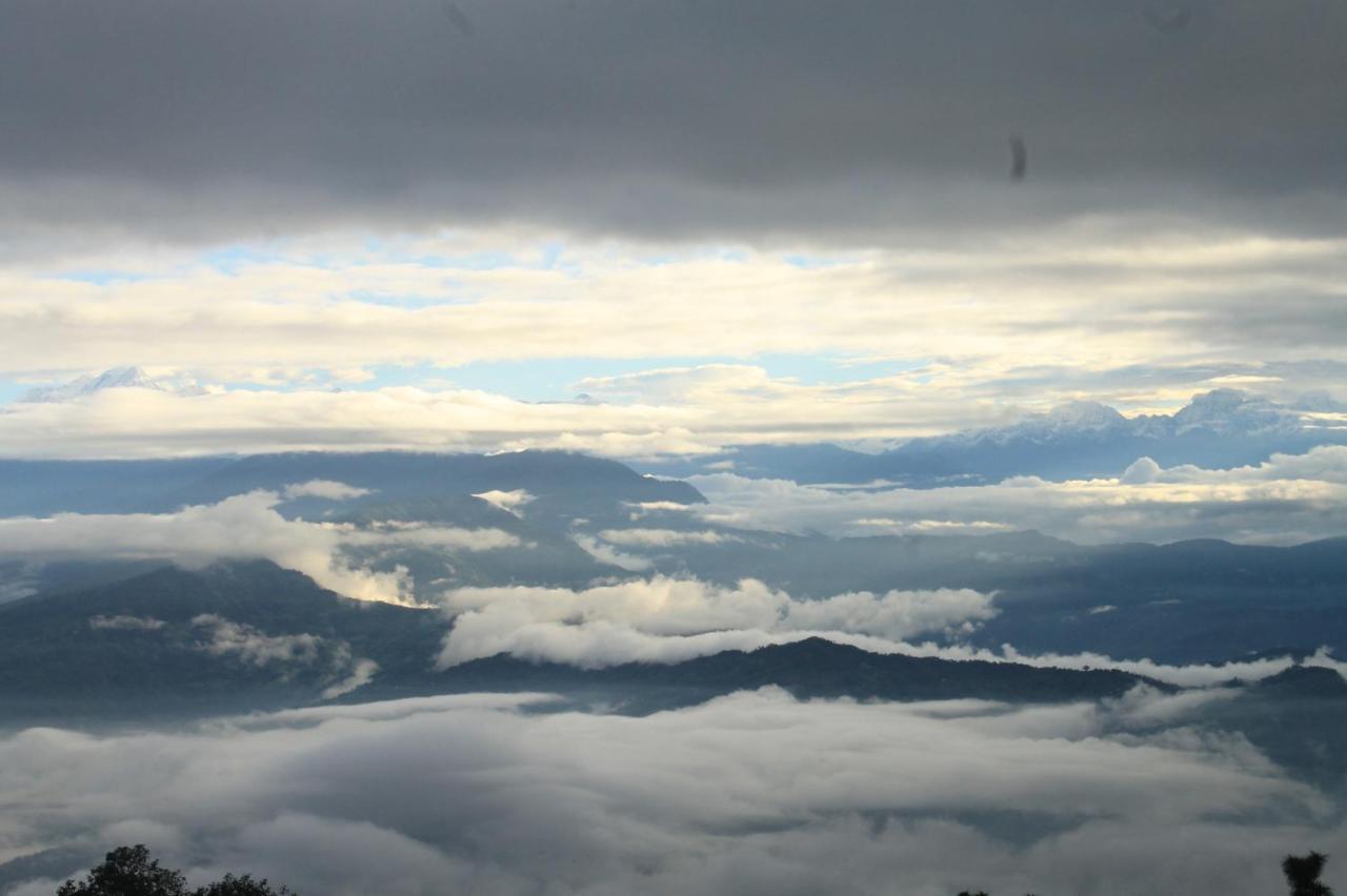 Junglaat Stays & Experiences Dharamshala Exterior foto