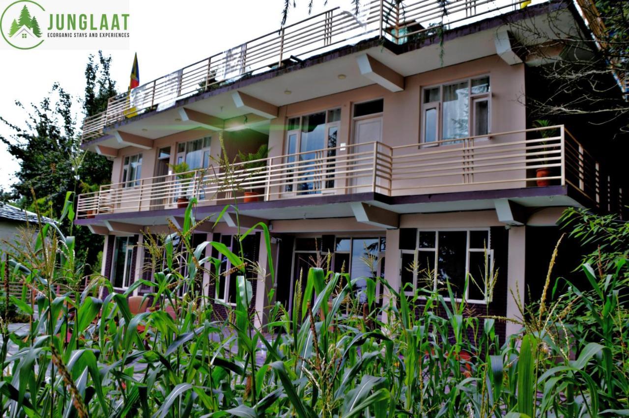 Junglaat Stays & Experiences Dharamshala Exterior foto